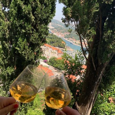 Apartments Nono Dubrovnik Dış mekan fotoğraf